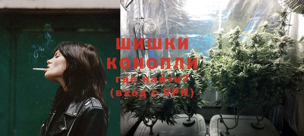 бошки Белокуриха